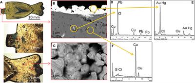 Metals and Environment: Chemical Outputs From the Interaction Between Gilded Copper-Based Objects and Burial Soil